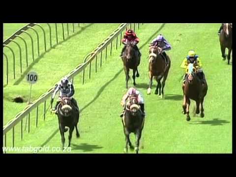 20160228 Scottsville Race 1 won by BOLD REX