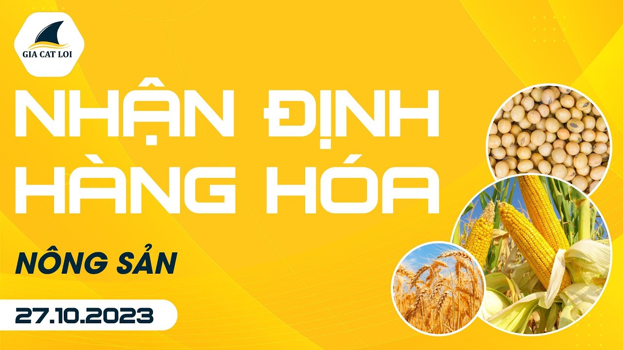 Nhận Định Hàng Hoá Nông Sản Ngày 27/10/2023