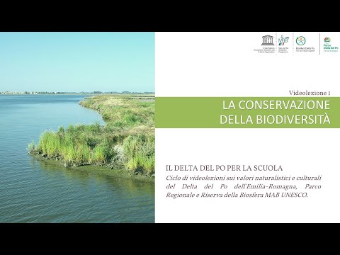 Videolezione 1 - Conservazione