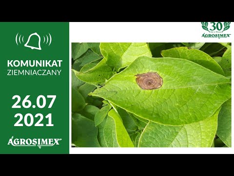 Ochrona fungicydowa oraz insektycydowa, nawożenie - Komunikat Ziemniaczany Agrosimex