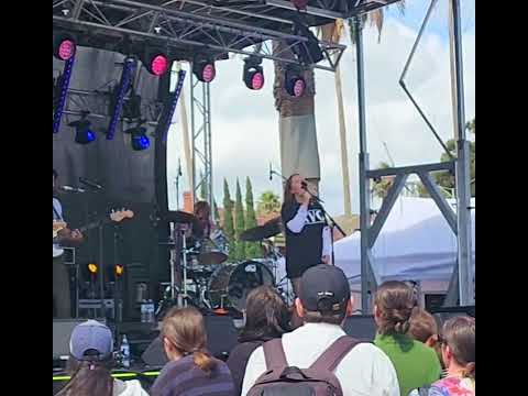 Phantastic Ferniture at StKilda Festival