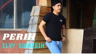 Download lagu PERIH - ELVY SUKAESIH | COVER BY NURDIN YASENG mp3 Download lagu PERIH - ELVY SUKAESIH | COVER BY NURDIN YASENG mp3
