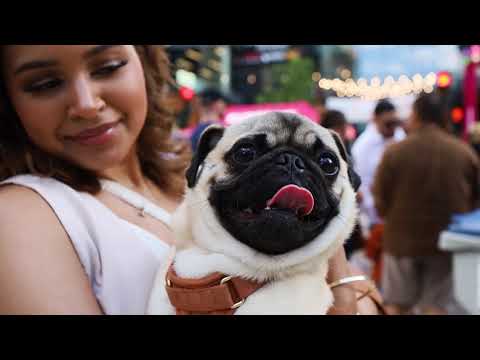 Here are the dates for the 2025 Milwaukee Night Market, and that’s it | Milwaukee Record