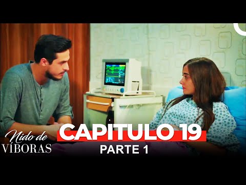Nido De Víboras Todos Los Capítulos 19 Parte 1