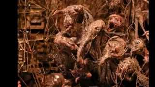 Skinny Puppy - Anger