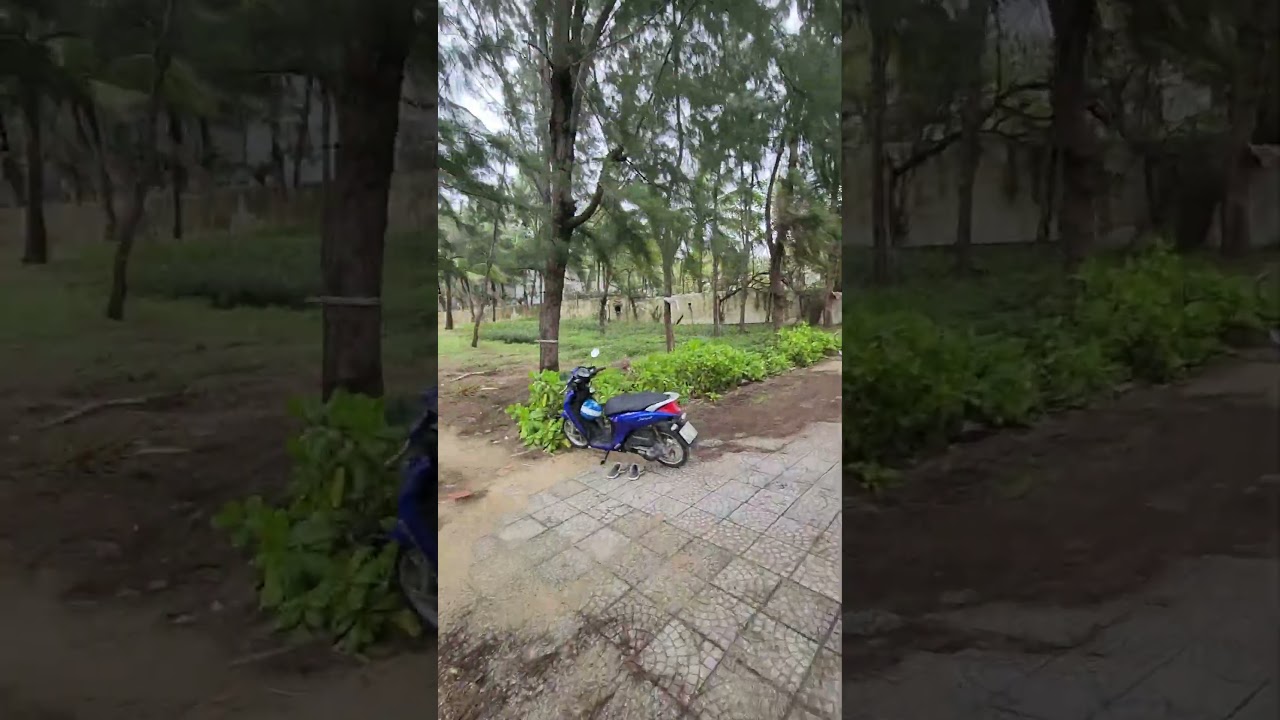 #베트남 #다낭 #미케해변 #러닝 #러너 #강릉 #풍경러너