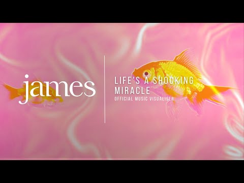 Video thumbnail for Life’s A Shocking Miracle