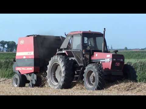 Landb. Scheemaeker – Zuienkerke - Case / International 1694 Hydra Shift - Vicon RV 157