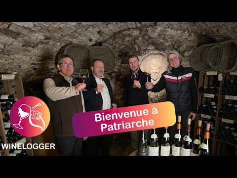 Patriarche père et fils, rencontre avec la plus grande cave de Bourgogne