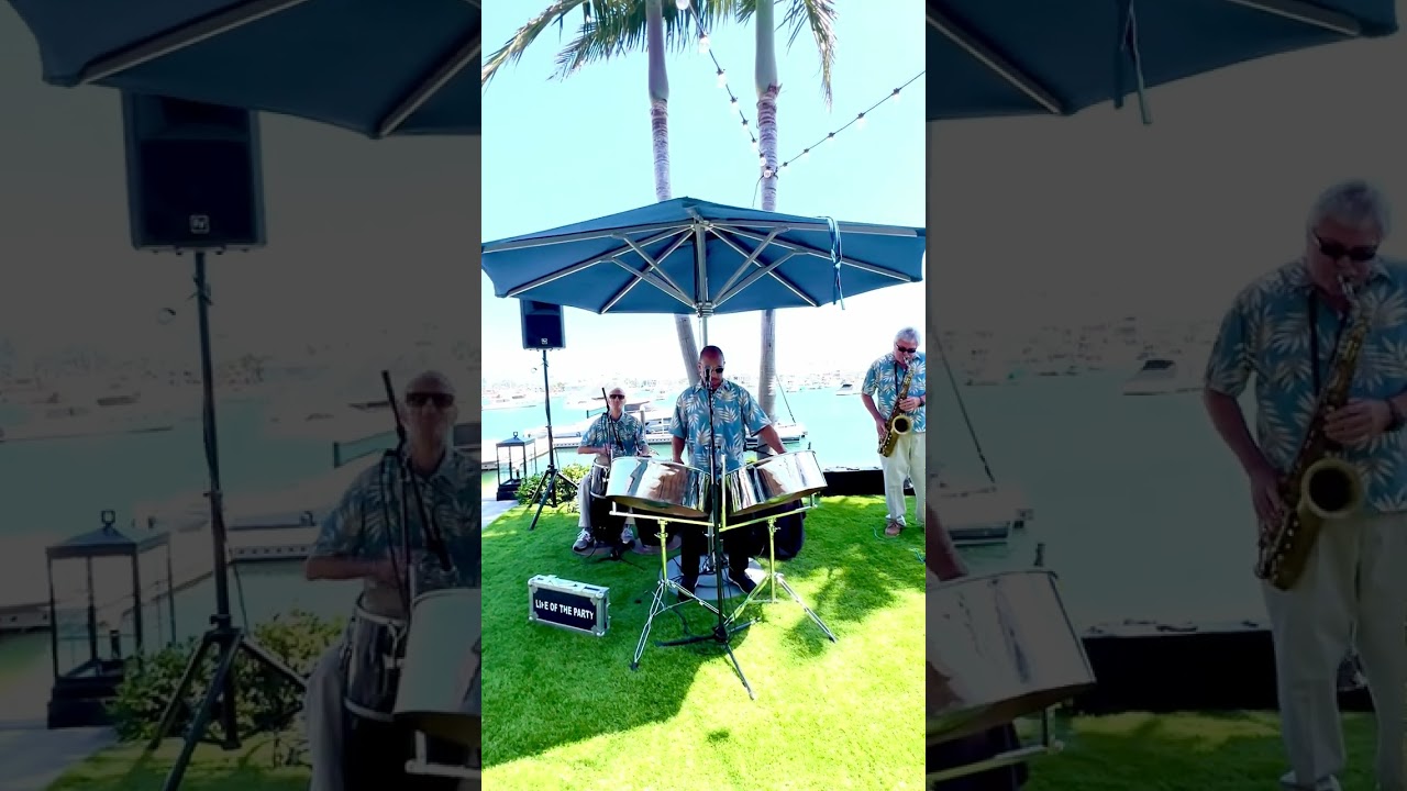 Promotional video thumbnail 4 for Life Of The Party Music