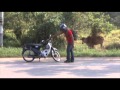 Jalil Hamid Hari Raya Mpg
