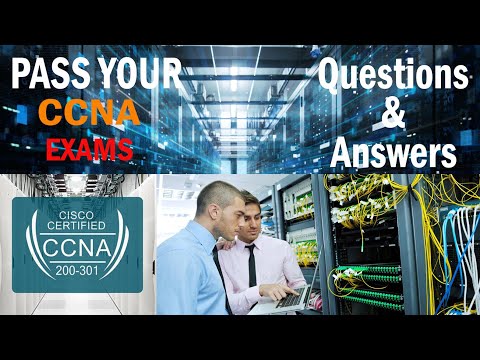 CISCO CCNA 1 v7 Modules 1 – 3: Basic Network Connectivity and Communications Exam Answers
