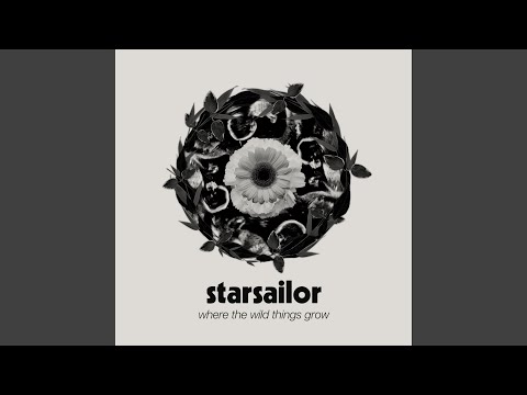 Hanging In The Balance