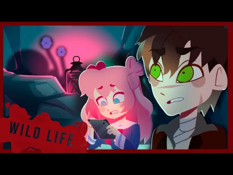 The Snail | Wild Life Animation