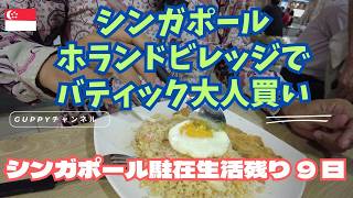 【シンガポール生活あと9日】ホランドビレッジで“在星最後のバティック買い”とホーカー飯