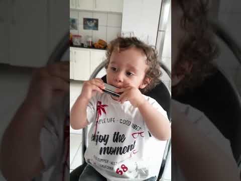 Aprendendo a tocar gaita *DAVI VICENTE #Bebe #Baby