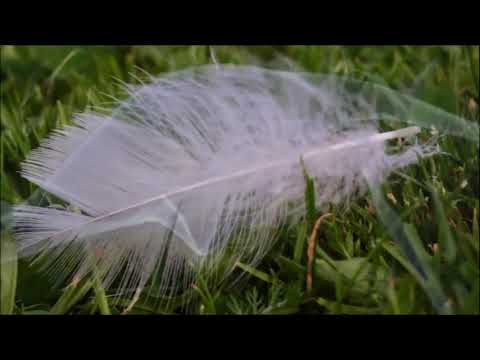 Красивая музыка для души  Ласковый вечер  Эдгар Туниянц Tender evening