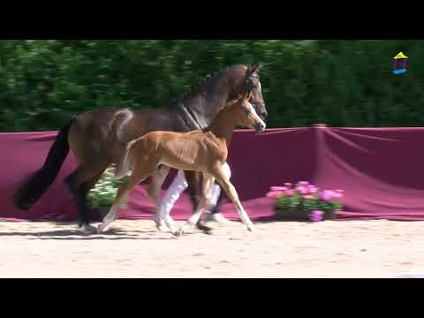 45 Somebody to love v. Secret - Fürst Grandios