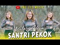 Vita Alvia Santri Pekok DJ Remix