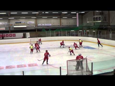 Tyreso Hanviken team camp CUP