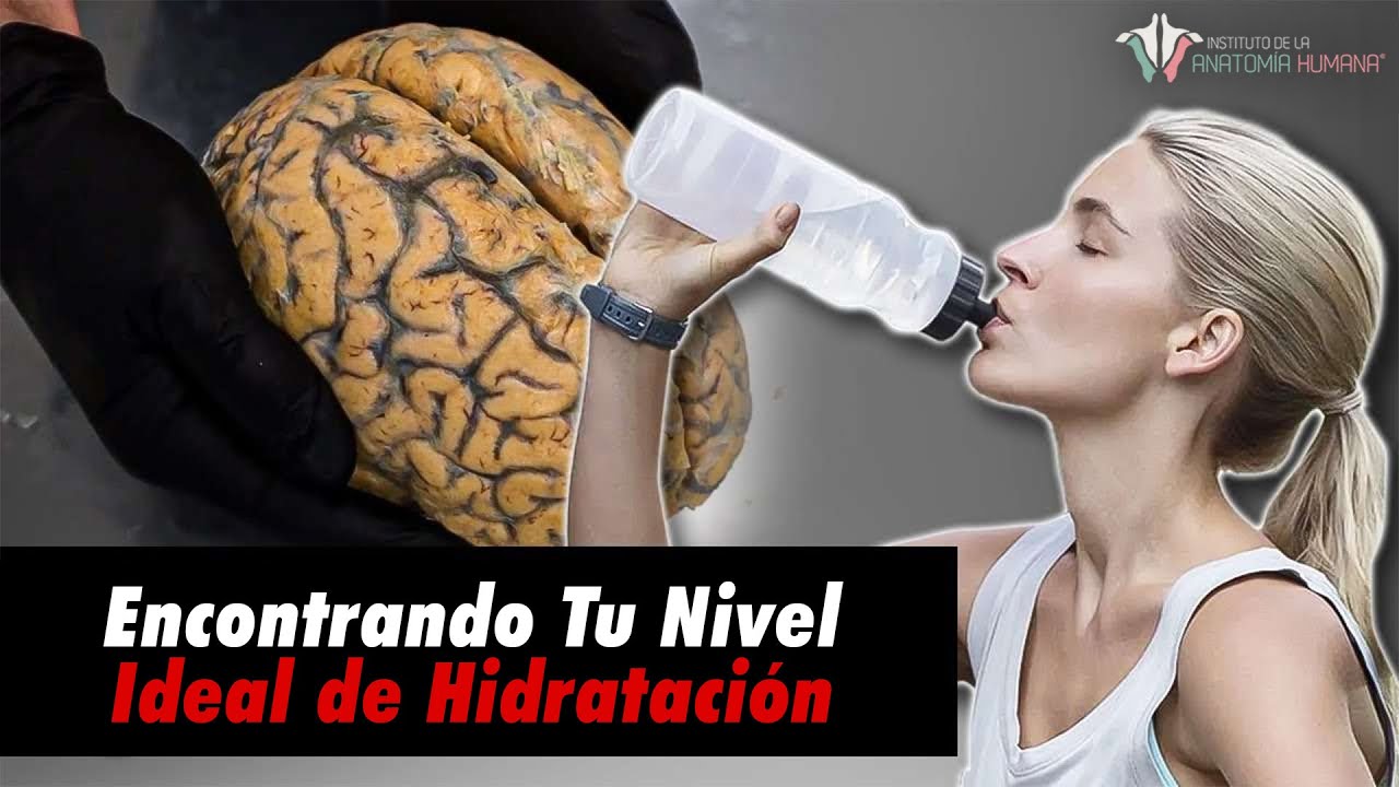 ¿Cuánta AGUA necesitas realmente? La ciencia de la HIDRATACIÓN