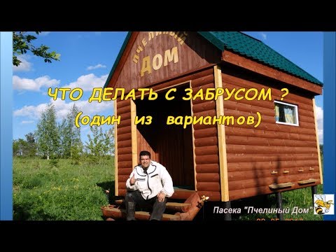 ЧТО ДЕЛАТЬ С ЗАБРУСОМ. ЧТО ДЕЛАТЬ С ЗАБРУСОМ ПОСЛЕ ОТКАЧКИ МЁДА.