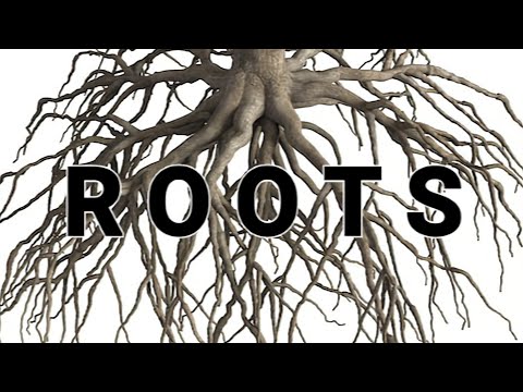 Matt98 - Roots [Official Audio]