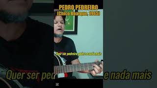 PEDRO PEDREIRO (Chico Buarque, 1965) #chicobuarque #pedropedreiro #mpb #shorts