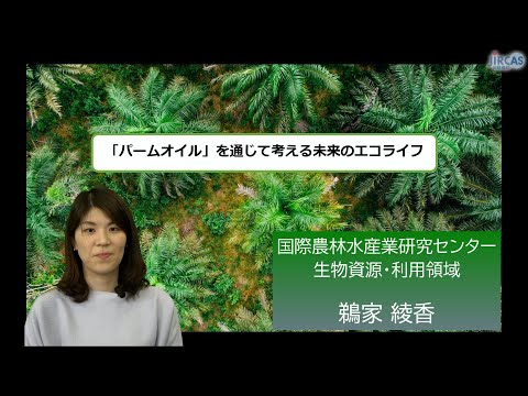罪の意識のないパーム油?