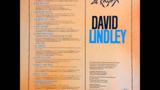 David Lindley／Pay The Man