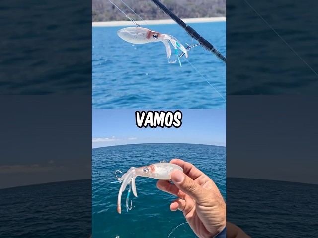 Vídeo relacionado con 8 Piezas Luminoso Pesca Camarones Señuelo Cebo de Calamar para Sepia Pulpo