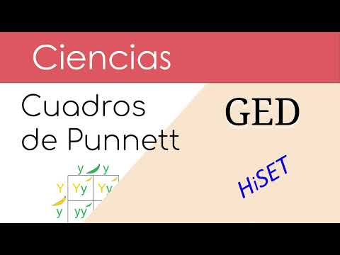 GED Ciencias Genética con Cuadros de Punnett