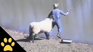 Miniature vidéo