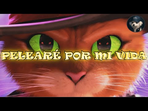 "Mi único deseo" | Canción de El Gato con Botas El último deseo