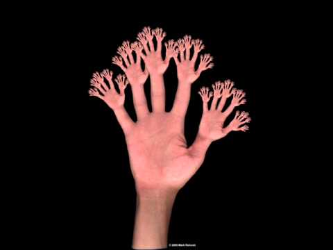 Drome View Killers - Molecular Genesis