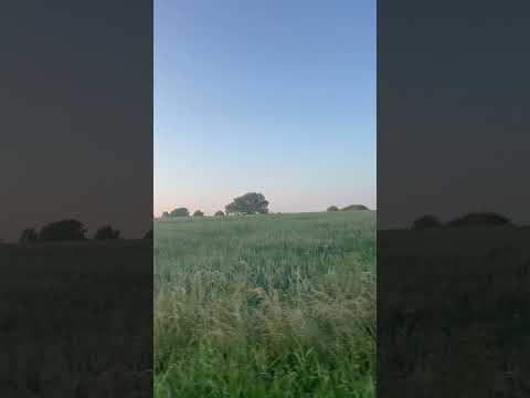 #luxembourg #capellen #farming #fields #summer