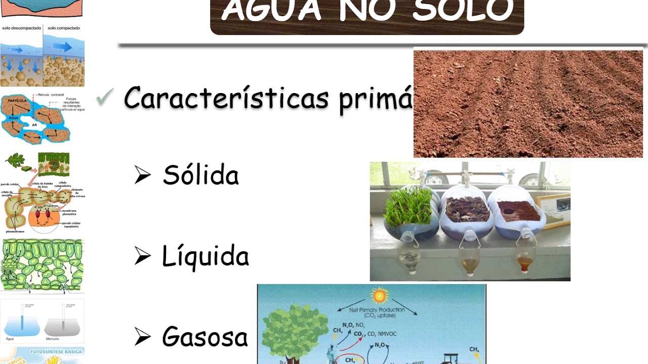 Relações Hídricas - Água no sistema: Solo-Planta-Atmosfera - Parte 1: Água no solo