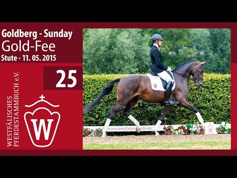 25 Gold-Fee  Stute v. Goldberg - Sunday