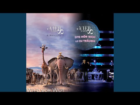 Videoclip de Bitte hör nicht auf zu träumen (Band Spezial Mix) — Xavier Naidoo