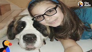 Girl Losing Vision Was Lonely Until She Met This Dog | The Dodo