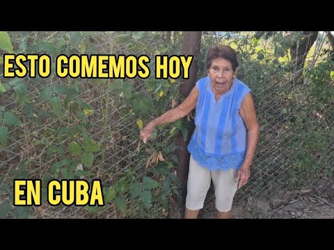 Abuela y familia te muestran lo que comen un día en Cuba