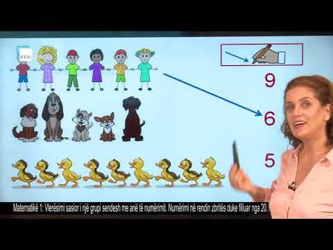 Matematika 1 - Vlerësimi sasior i një grupi sendesh me anë të numërimit. Numërimi në rendin zbritës.