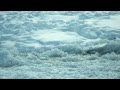 Frozen Danube 2012