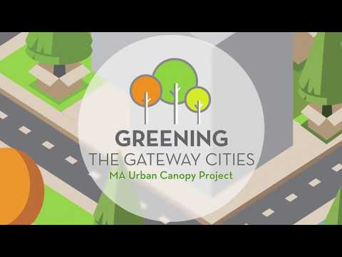 Greening the Gateway - Customer Success Story (Aisha - Greening the Gateway)