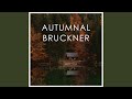 Bruckner: Symphony No. 6 In A Major - 4. Finale. Bewegt, doch nicht zu schnell