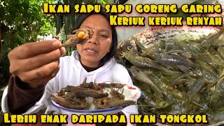 Download lagu IKAN SAPU SAPU GORENG KERIUK RENYAH DI MULUT mp3 Download lagu IKAN SAPU SAPU GORENG KERIUK RENYAH DI MULUT mp3