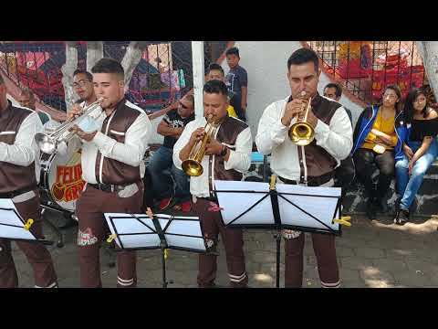 La Pantera Rosa / Banda Felipe Arpero/ Candelaria Coyoacán