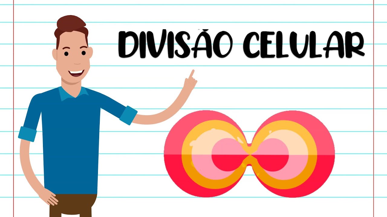 DIVISÃO CELULAR - INTRODUÇÃO