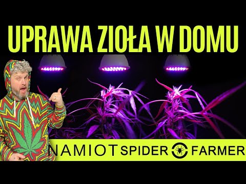 , title : 'Tani GROWBOX do uprawy SPIDER FARMER | Unboxing i budowa #WeedWeek'