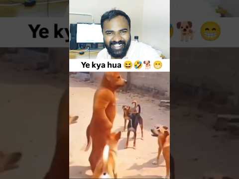 എനിക്ക് ചിരി അടക്കാൻ വയ്യ! 🤣